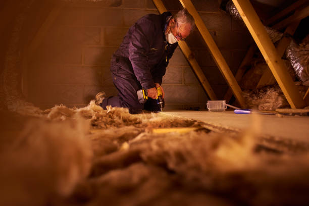 Best Types of Insulation in Lake City, IA